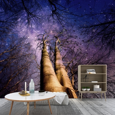 Bella fotografia murale carta da parati cielo stellato murale per interni