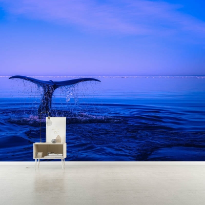 Carte da parati Fotografia Camera da letto Stampa costiera del mare Non incollata
