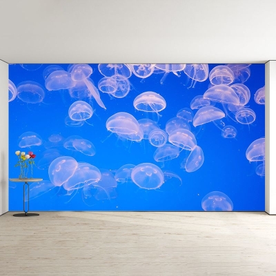 Papier peint de photographie r&eacute;sistant aux taches, d&eacute;coration murale sous-marine pour la maison