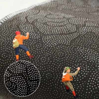 Tappeto con motivo floreale innovativo Tappeto in poliestere creativo Tappeto per animali domestici per camera da letto
