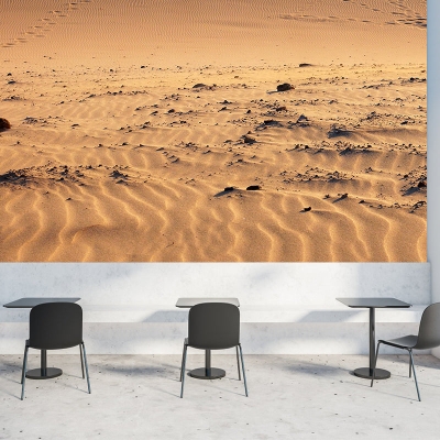 Carta da parati resistente alle macchie, fotografia del deserto, paesaggi ambientali, murale