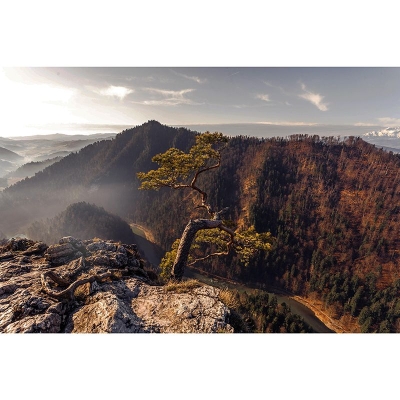 Decorazione murale per la decorazione della casa, carta da parati con fotografia di montagna rispettosa dell'ambiente