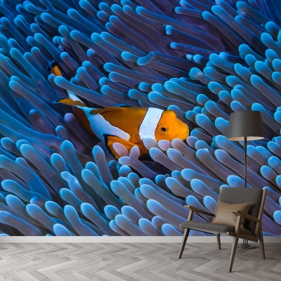 Carta da parati fantasia Decorazione murale per salotto con motivi di pesci pagliaccio