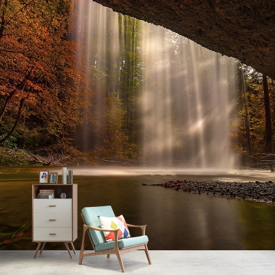 Carta da parati fotografica autunnale con motivo muffa, decorazione orizzontale per soggiorno