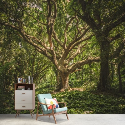 Carta da parati decorativa con fotografia di foresta, carta da parati per salotto