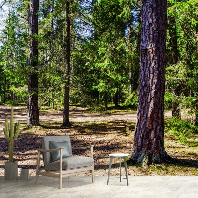 Dekorative Fotografie-Tapete, Wald-Wohnzimmer-Wandtapete