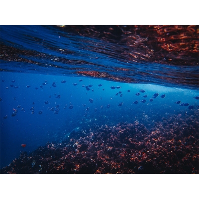 Fotografie, schimmelresistent, Unterwasser-Wandbild, Wohnzimmer-Tapete