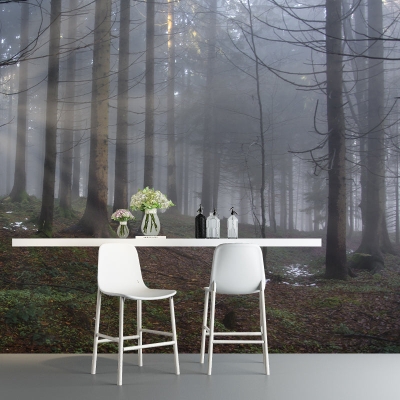 Fotografie Umwelttapete Wald Wohnzimmer Wandtapete