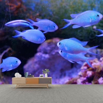 Fotomurale tropicale con fotografia murale resistente alle macchie per salotto con pesce