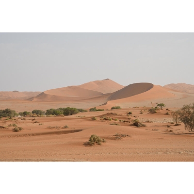 Carta da parati fotografica ecologica del deserto Carta da parati murale per salotto