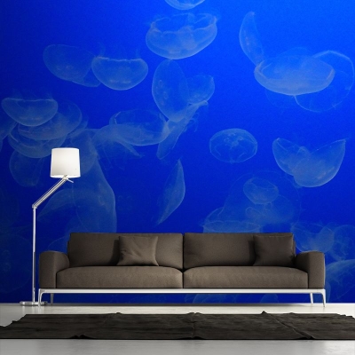 Fotomurale fotografico Fotomurale per salotto con stampa di meduse