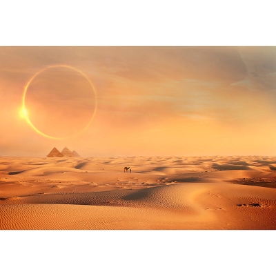 Carta da parati fotografica con sabbia Carta da parati moderna resistente all'umidit&agrave; del deserto