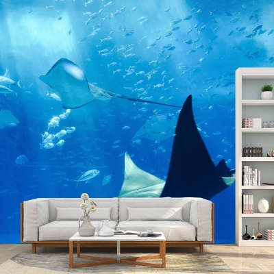 Unterwasserfotografie Moderne Tapete Umwelt-Wohnzimmer-Tapete