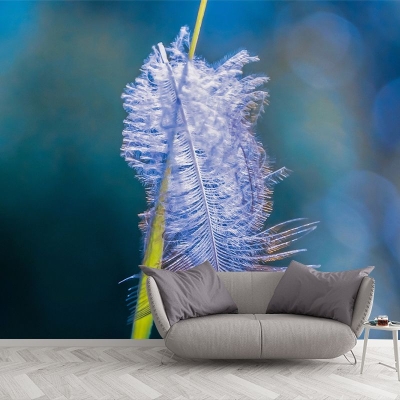 Murales resistenti alle macchie Fotografia Feather Murales per stanze contemporanee