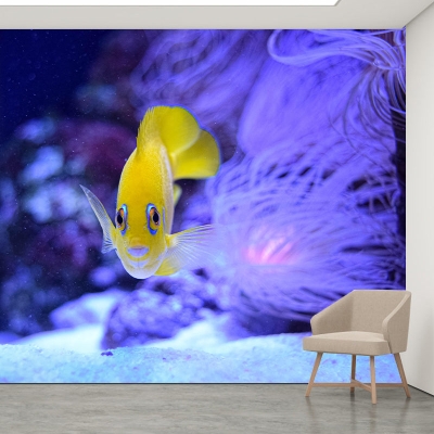 Fotomurale fotografico Fotomurale per salotto con motivi di pesce