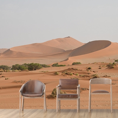 Carta da parati fotografica ecologica del deserto Carta da parati murale per salotto