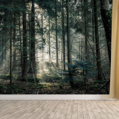 Dekorative, schimmelresistente Fotografie-Tapete, Wald-Wandtapete