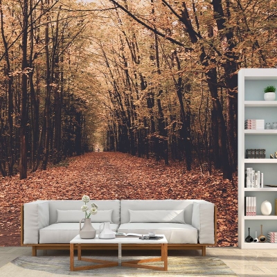 Woods, schmutzabweisende Fotografie-Tapete, Wohnzimmer-Tapete