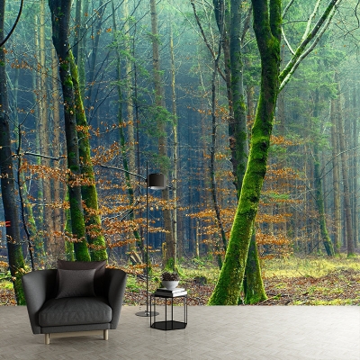 Carta da parati ambientale per la casa Foresta Soggiorno Resistente Fotografia Murale da parete