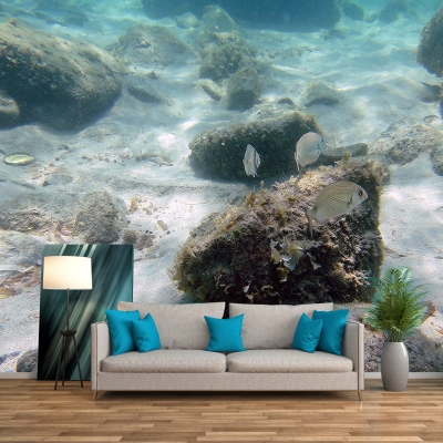 Carta da parati con fotografia tropicale, decorazione da parete con animali marini, resistente alle macchie