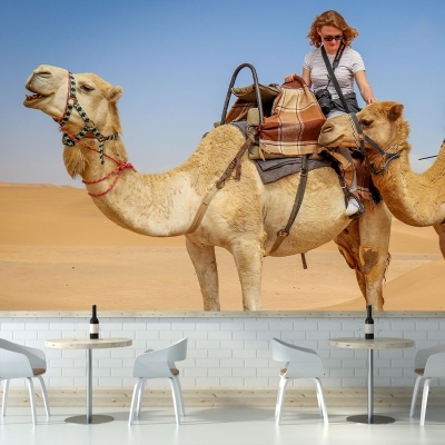 Murale decorativo del deserto Murales fotografici per soggiorno resistenti alle macchie