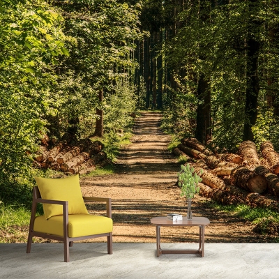 Fotografia Foresta Murale Murale con piante resistenti alle macchie ambientali