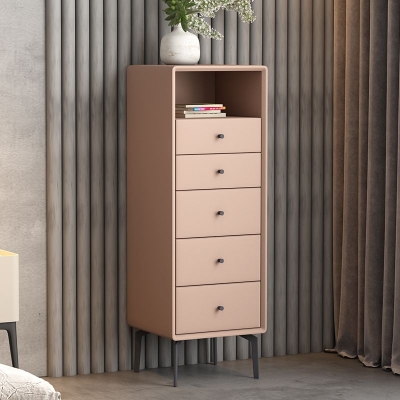 Dessous-Truhe mit Metallbeinen. Zeitgen&ouml;ssische Kommode mit Schubladen f&uuml;r das Schlafzimmer