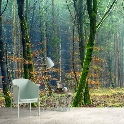 Carta da parati ambientale per la casa Foresta Soggiorno Resistente Fotografia Murale da parete