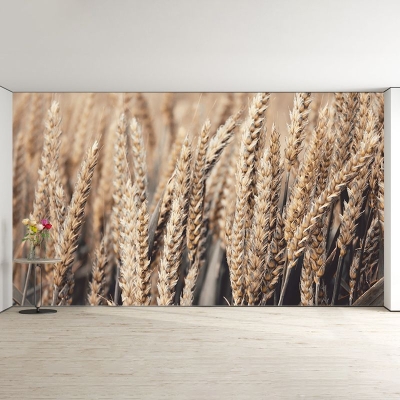 Carta da parati resistente alla muffa del campo di grano, decorazione murale per la camera da letto, per la fotografia ambientale