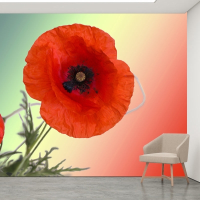 Carta da parati fotografica con fiori, decorazione murale per interni resistente alla muffa, ecologica