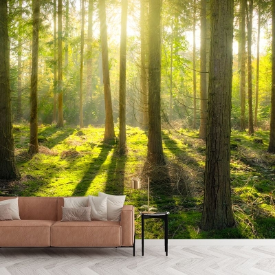 Carta da parati murale per decorazioni per la casa con fotografia ecologica