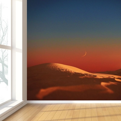 Carta da parati fotografica Carta da parati resistente al deserto contemporaneo per la casa
