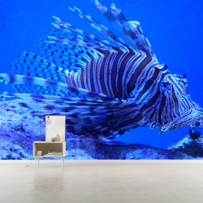 Carta da parati seducente Carta da parati stampata con pesce leone