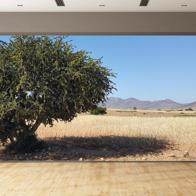 Carta da parati ambientale con paesaggi Carta da parati resistente alle macchie con fotografia del deserto