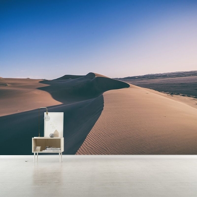Carta da parati fotografica ecologica Carta da parati murale del deserto del soggiorno
