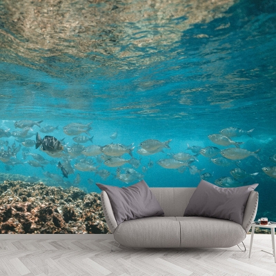 Papier peint d&eacute;coratif moderne sous-marin, photographie, papier peint mural pour salon