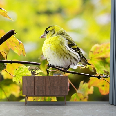 Kreatives Wandbild mit Waldvogelfotografie, feuchtigkeitsbest&auml;ndig, f&uuml;r Wanddekoration im Wohnzimmer und Schlafzimmer