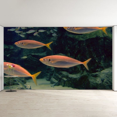 Fotomurale stampato con pesci oceanici, moderno, resistente alle macchie