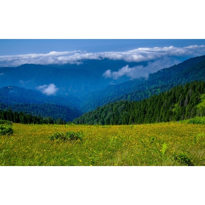 Carta da parati fotografica ecologica in montagna. Carta da parati per salotto