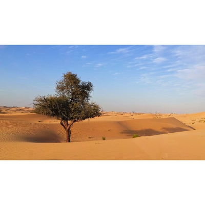 Carta da parati decorativa per soggiorno con fotografia del deserto