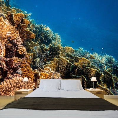 Unterwasserfotografie, schimmelresistente Tapete, Wohnzimmer-Wandbild