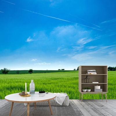 Dekorative Himmelfotografie-Wandbild, Wohnzimmer-Tapete