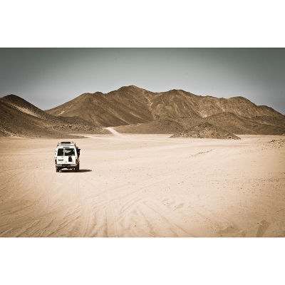 Carta da parati resistente alle macchie di cammello nel soggiorno del deserto con fotografia tropicale