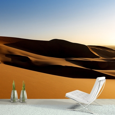 Carta da parati ecologica per soggiorno con fotografia del deserto