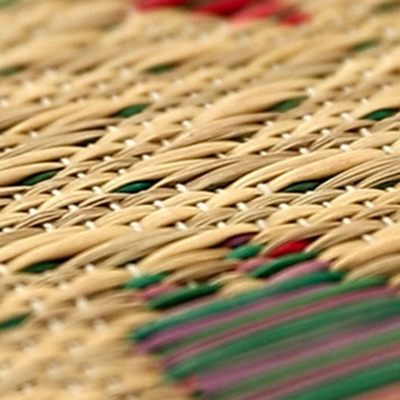 Tappeto Country Marrone Tappeto Sisal Plant Tappeto Lavabile per Salotto