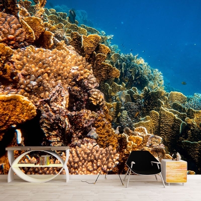 Unterwasserfotografie, schimmelresistente Tapete, Wohnzimmer-Wandbild