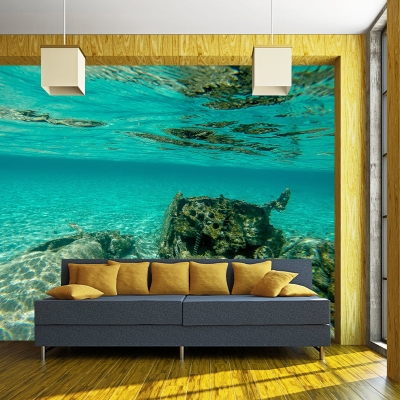 Papier peint mural de photographie sous-marine respectueux de l'environnement, papier peint pour salon