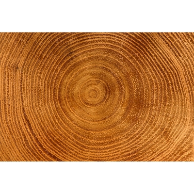 Illustrazione Carta da parati resistente alle macchie con venature del legno Decorazione murale per soggiorno