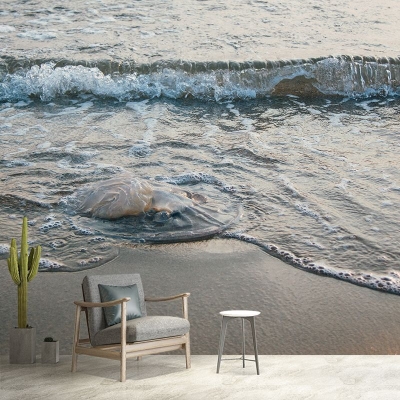 Fotografie Meer Strand schmutzabweisende Tapete Wohnzimmer Wandgem&auml;lde