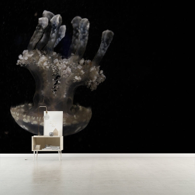 Fotografie-Umwelt-Tapete, Unterwasser-Wohnzimmer-Wandbild